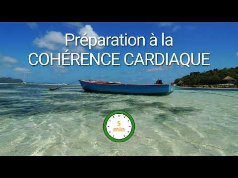 Cohérence Cardiaque 5 Minutes : Guide Respiratoire Visuel