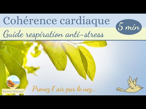 Cohérence Cardiaque Anti-Stress avec Chant d'Oiseaux